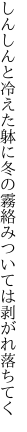 しんしんと冷えた躰に冬の霧 絡みついては剥がれ落ちてく