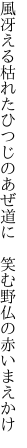 風冴える枯れたひつじのあぜ道に　 笑む野仏の赤いまえかけ