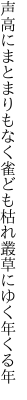 声高にまとまりもなく雀ども 枯れ叢草にゆく年くる年