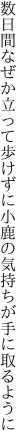 数日間なぜか立って歩けずに 小鹿の気持ちが手に取るように