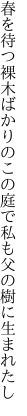 春を待つ裸木ばかりのこの庭で 私も父の樹に生まれたし