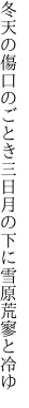 冬天の傷口のごとき三日月の 下に雪原荒寥と冷ゆ