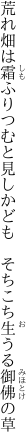 荒れ畑は霜ふりつむと見しかども 　そちこち生うる御佛の草