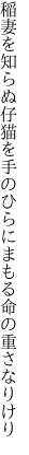 稲妻を知らぬ仔猫を手のひらにまもる 命の重さなりけり