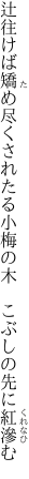 辻往けば矯め尽くされたる小梅の木　 こぶしの先に紅滲む