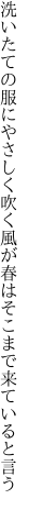 洗いたての服にやさしく吹く風が 春はそこまで来ていると言う