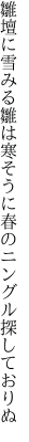 雛壇に雪みる雛は寒そうに 春のニングル探しておりぬ