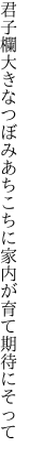 君子欄大きなつぼみあちこちに 家内が育て期待にそって