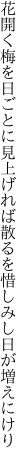 花開く梅を日ごとに見上げれば 散るを惜しみし日が増えにけり