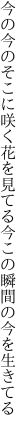 今の今のそこに咲く花を見てる 今この瞬間の今を生きてる