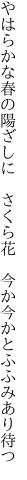 やはらかな春の陽ざしに　さくら花　 今か今かとふふみあり待つ