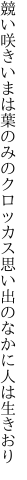 競い咲きいまは葉のみのクロッカス 思い出のなかに人は生きおり