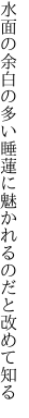 水面の余白の多い睡蓮に 魅かれるのだと改めて知る