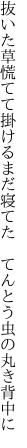 抜いた草慌てて掛けるまだ寝てた 　てんとう虫の丸き背中に
