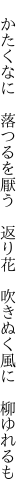 　かたくなに　落つるを厭う　返り花 　吹きぬく風に　柳ゆれるも