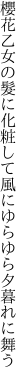 櫻花乙女の髮に化粧して 風にゆらゆら夕暮れに舞う