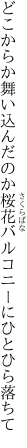 どこからか舞い込んだのか桜花 バルコニーにひとひら落ちて