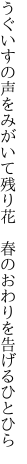うぐいすの声をみがいて残り花　 春のおわりを告げるひとひら