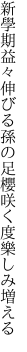 新學期益々伸びる孫の足 櫻咲く度樂しみ増える