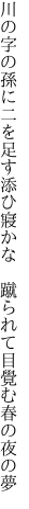 川の字の孫に二を足す添ひ寢かな　 蹴られて目覺む春の夜の夢