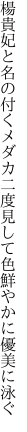 楊貴妃と名の付くメダカ二度見して 色鮮やかに優美に泳ぐ