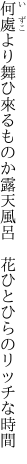 何處より舞ひ來るものか露天風呂　 花ひとひらのリッチな時間