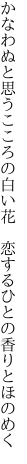 かなわぬと思うこころの白い花　 恋するひとの香りとほのめく