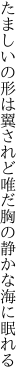 たましいの形は翼されど唯だ 胸の静かな海に眠れる