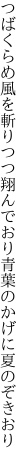 つばくらめ風を斬りつつ翔んでおり 青葉のかげに夏のぞきおり