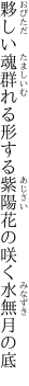 夥しい魂群れる形する 紫陽花の咲く水無月の底
