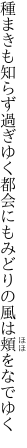 種まきも知らず過ぎゆく都会にも みどりの風は頬をなでゆく
