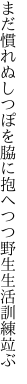 まだ慣れぬしつぽを脇に抱へつつ 野生生活訓練竝ぶ
