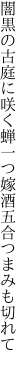 闇黒の古庭に咲く蝉一つ 嫁酒五合つまみも切れて