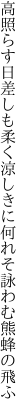 高照らす日差しも柔く涼しきに 何れそ詠わむ熊蜂の飛ふ
