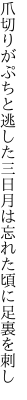 爪切りがぷちと逃した三日月は 忘れた頃に足裏を刺し