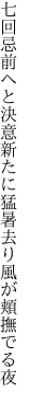 七回忌前へと決意新たに 猛暑去り風が頬撫でる夜