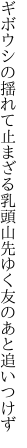 ギボウシの揺れて止まざる乳頭山 先ゆく友のあと追いつけず