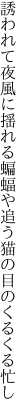誘われて夜風に揺れる蝙蝠や 追う猫の目のくるくる忙し