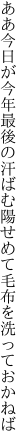 ああ今日が今年最後の汗ばむ陽 せめて毛布を洗っておかねば