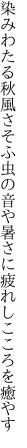 染みわたる秋風さそふ虫の音や 暑さに疲れしこころを癒やす