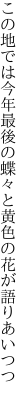 この地では今年最後の蝶々と 黄色の花が語りあいつつ