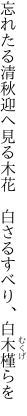 忘れたる清秋迎へ見る木花　 白さるすべり、白木槿らを