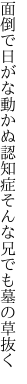 面倒で日がな動かぬ認知症 そんな兄でも墓の草抜く