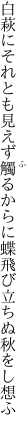 白萩にそれとも見えず觸るからに 蝶飛び立ちぬ秋をし想ふ