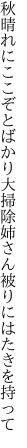 秋晴れにここぞとばかり大掃除 姉さん被りにはたきを持って