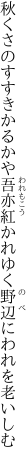 秋くさのすすきかるかや吾亦紅 かれゆく野辺にわれを老いしむ