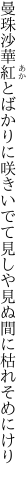 曼珠沙華紅とばかりに咲きいでて 見しや見ぬ間に枯れそめにけり