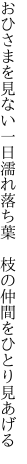 おひさまを見ない一日濡れ落ち葉　 枝の仲間をひとり見あげる