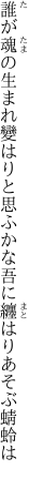 誰が魂の生まれ變はりと思ふかな 吾に纏はりあそぶ蜻蛉は