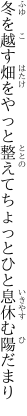 冬を越す畑をやっと整えて ちょっとひと息休む陽だまり